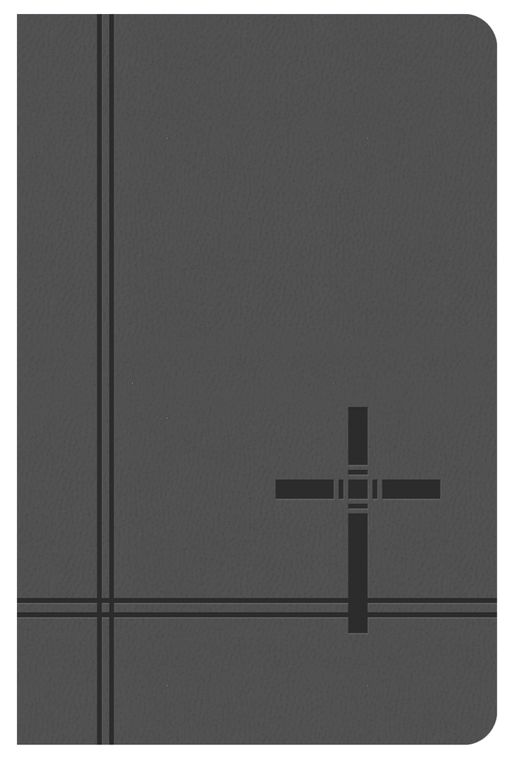 KJV Deluxe Gift & Award Bible (Gray)