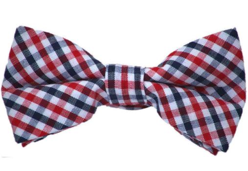 Navy and Red Bow Tie